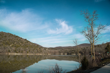 reflection of trees in water