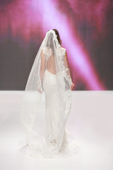 Bride in a beautiful wedding dress