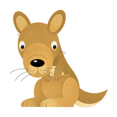 cartoon scene with happy and funny kangaroo on white background - illustration for children