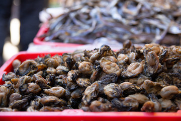 Chinatown vendors, NYC