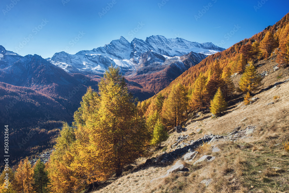 Wall mural view on forest and snowy peaks