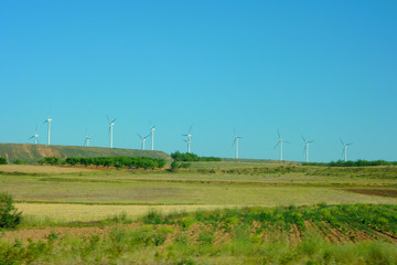 Navarra. Rural fields. Spain