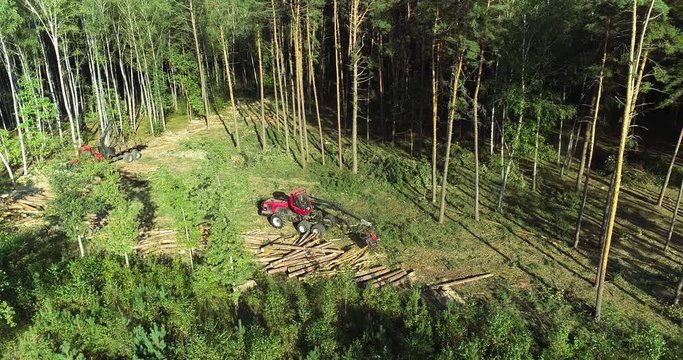 Forest cutting, timber harvester, A cut-to-length (CTL) forest harvester. Pine Forest Harvesting Machine. Logging Equipment. The forestry industry. The harvester lumberjack working in a forest. 