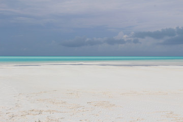 Fototapeta na wymiar Beach, Sandy Cay, Exumas, Bahamas