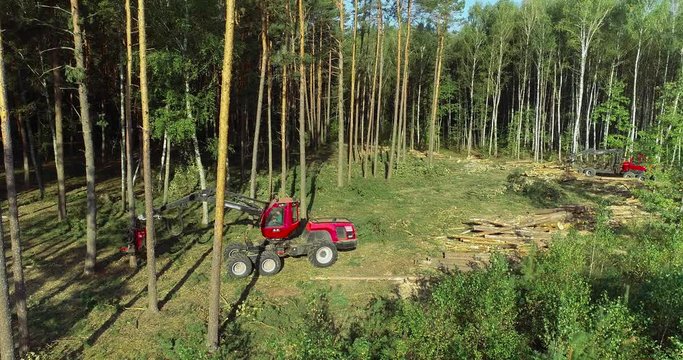 A cut-to-length (CTL) forest harvester. Pine Forest Harvesting Machine. Logging Equipment. The forestry industry. The harvester lumberjack working in a forest. Forest Wheeled Harvesters. 