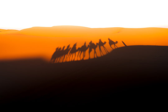 Kamelritt in den Sonnenuntergang