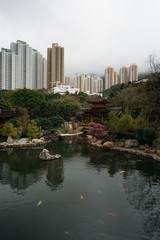 Cityscape in front of Nature Pond in Hong Kong
