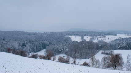 Winter landscape with snowy trees in Switzerland.