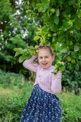 Cute little girl in the branches of an apple tree in summer sunny day.