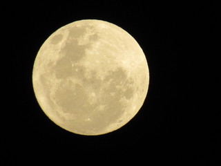 Fototapeta premium Full moon