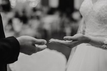 hands of the bride and groom with alliance