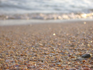 seashore, sand, shells, no people