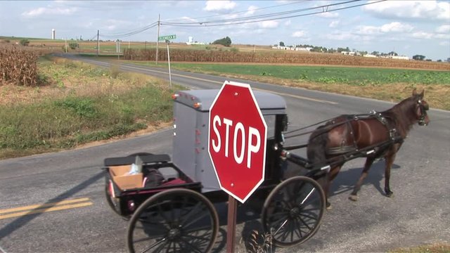 Amish horse and buggy next to farm in Lancaster, Pennsylvania
