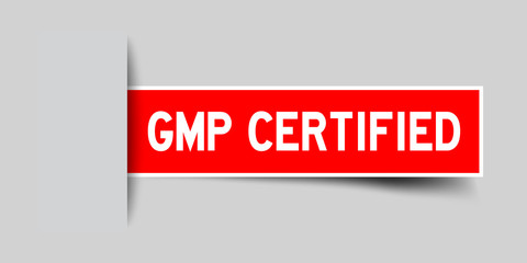 Label square red sticker in word GMP (Good manufacturing practice) certified that insert under gray background (vector)