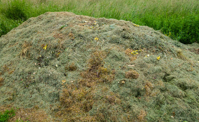 Grashaufen Mäharbeiten Mähabfälle Pflanzenabfälle