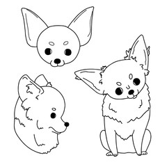 Cartoon sketches of chihuahua drawn by hand. Vector illustration on white background in simple style.
