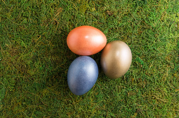 Easter composition. Easter colored eggs lie on a moss. Top view. Easter composition