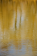 Fototapeta na wymiar Reflections in the water