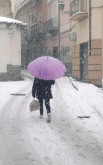 Lilac Umbrella In Snowfall