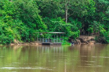 Fototapeta na wymiar Pantanal