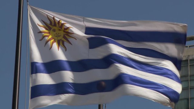 Flipping Flag Uruguay