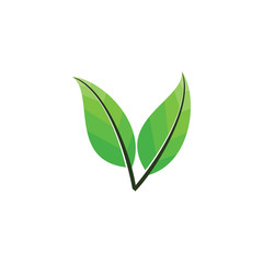 Double Leaf logo design