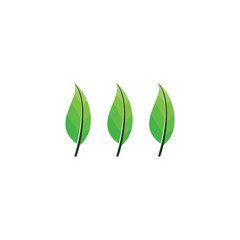 Triple Leaf logo design