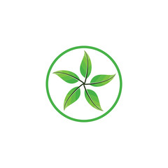 Five Leaf logo design