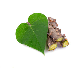 Tinospora cordifolia herb isolated on white background