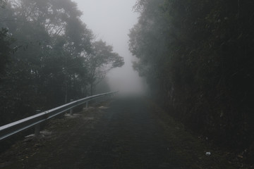 Foggy mountain road