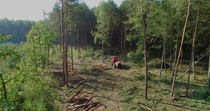 A cut-to-length (CTL) forest harvester. Pine Forest Harvesting Machine. Logging Equipment. The forestry industry. The harvester lumberjack working in a forest. Forest Wheeled Harvesters.
