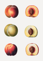 Peaches in a row