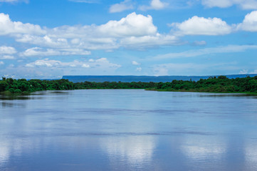 Fototapeta na wymiar Pantanal