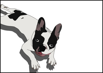 illustration of a dog