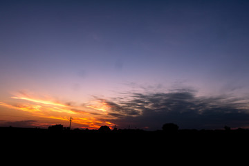 Fototapeta premium Sunset on the route. Silhouettes of plants on the horizon. Some clouds tinged with golden colors