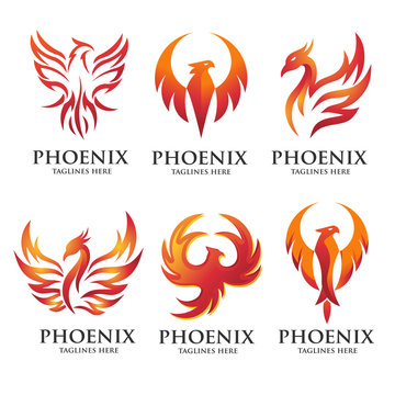 luxury and creative phoenix logo set vector concept 
