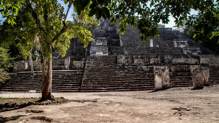  Lost in the jungle park Calakmul in Mexico. Pyramids in the jungle