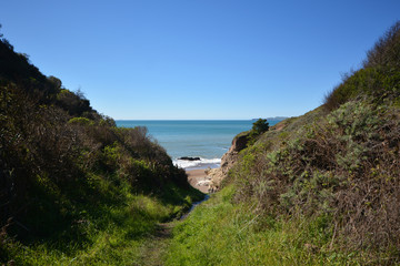 Fototapeta premium ocean view