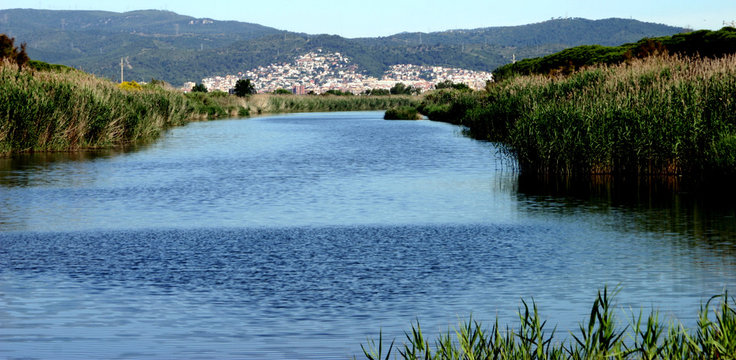 Delta del Llobregat. Natural Park in Barcelona. El Prat. Spain