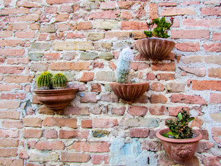 Different flowers and cactus in pots on the old red brick wall, Certaldo, Tuscany, Italy