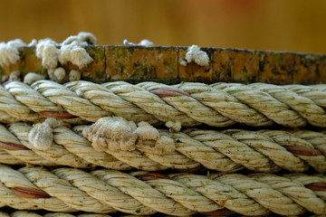 the close up of Bamboo rope.