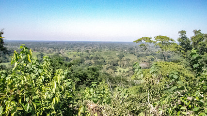 Fototapeta na wymiar Boundary Selva of the state of Chiapas