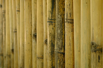 old brown tone bamboo plank fence texture for background.close up of old brown tone bamboo plank fence texture for background.