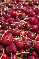 Many red ripe cherries in a bin ready to be packaged for sale