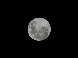 Naklejka na ściany i meble Super Snow Moon 19th of February 2019 Southern Hemisphere