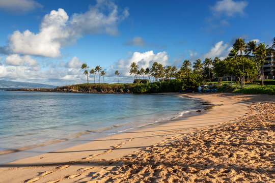 Beach At Kapalua Bay In The Morning Light