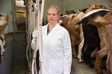 Farmer woman milking a goats with an automatic milk machine