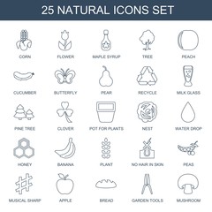 25 natural icons