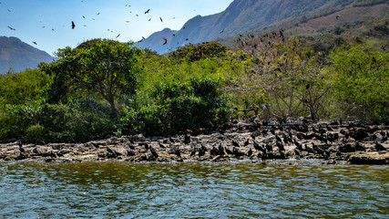  Magic mountains, sheer cliffs, monkeys, crocodiles - Canyon del Sumidero