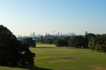 Empty green park with Sydney skyline on the distance.